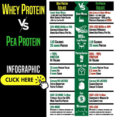 Pea Protein Isolate Versus Whey Protein Isolate - Infographic Is pea protein better than whey protein?