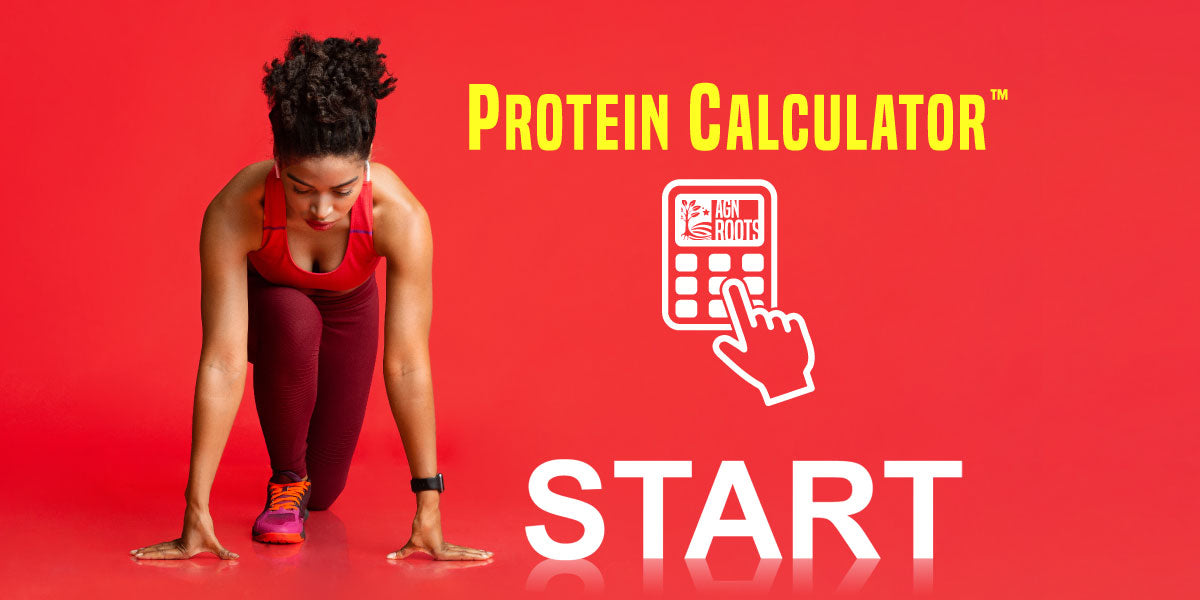 Protein Macro Daily Intake Calculator Individualized AGN Roots