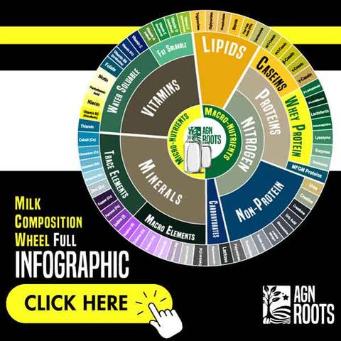 Whey Protein Fraction & Milk Composition Chart - AGN Roots - How much Whey is in Milk?