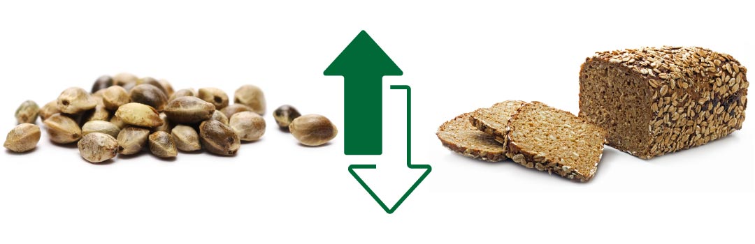 What is the Best Vegan Protein? Hemp Seed & Sprouted Grain Bread  - AGN Roots Grass-Fed Whey