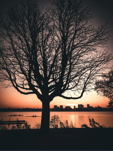 Hamburg Aussenalster im Sonnenuntergang