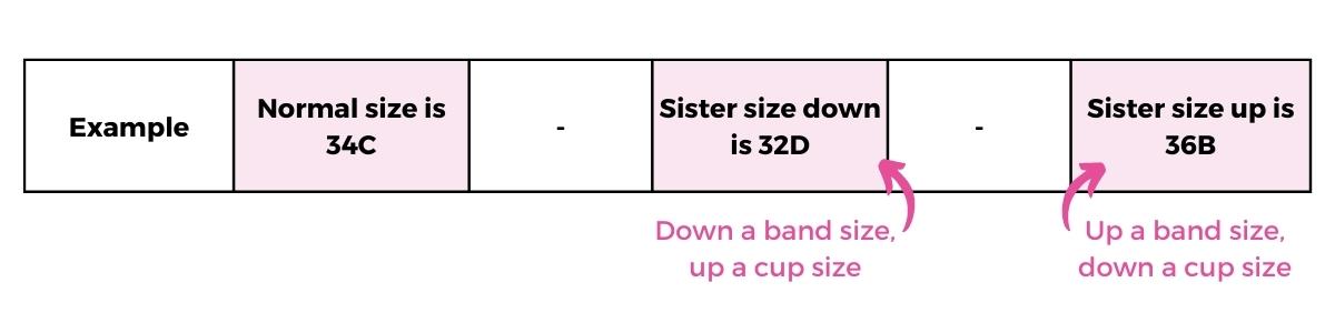 Quick Guide - Ratio* 34DD Sister sizex: these bras have the same cup 'As  band size incteases, bust letters decreate. 30DD 32DD 34DD 36DD 38DD Bond  size atfects bust siz! Every DD