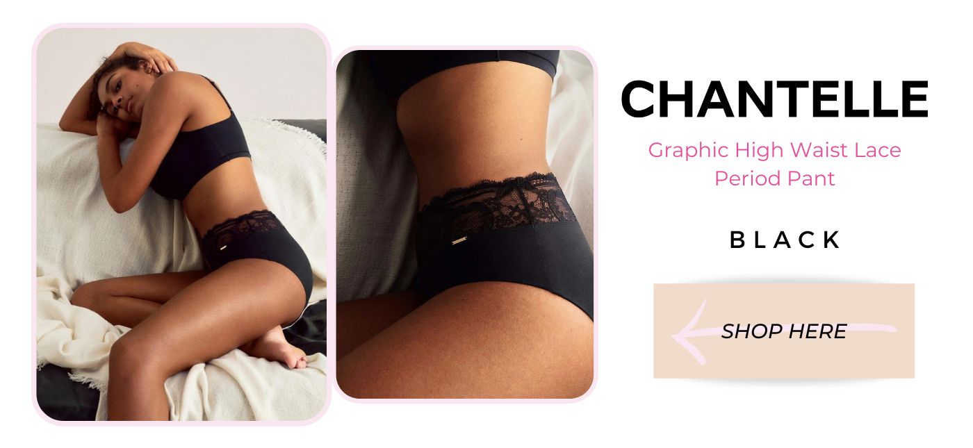 chantelle high waist lace period pant