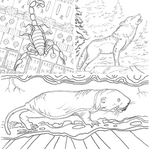 9100 Animal Habitat Coloring Pages Pdf  Latest Free