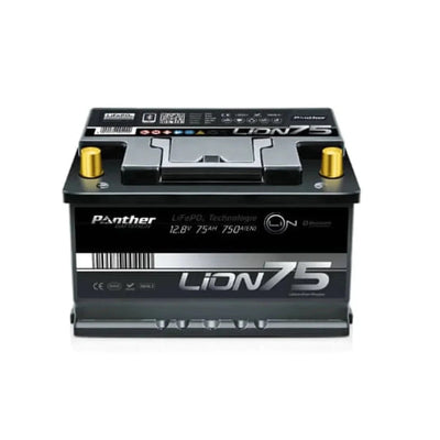 Panther Batterien EVO7 LiFePO4 & AGM Batterie Ladegerät 7A Ladegerät kaufen  