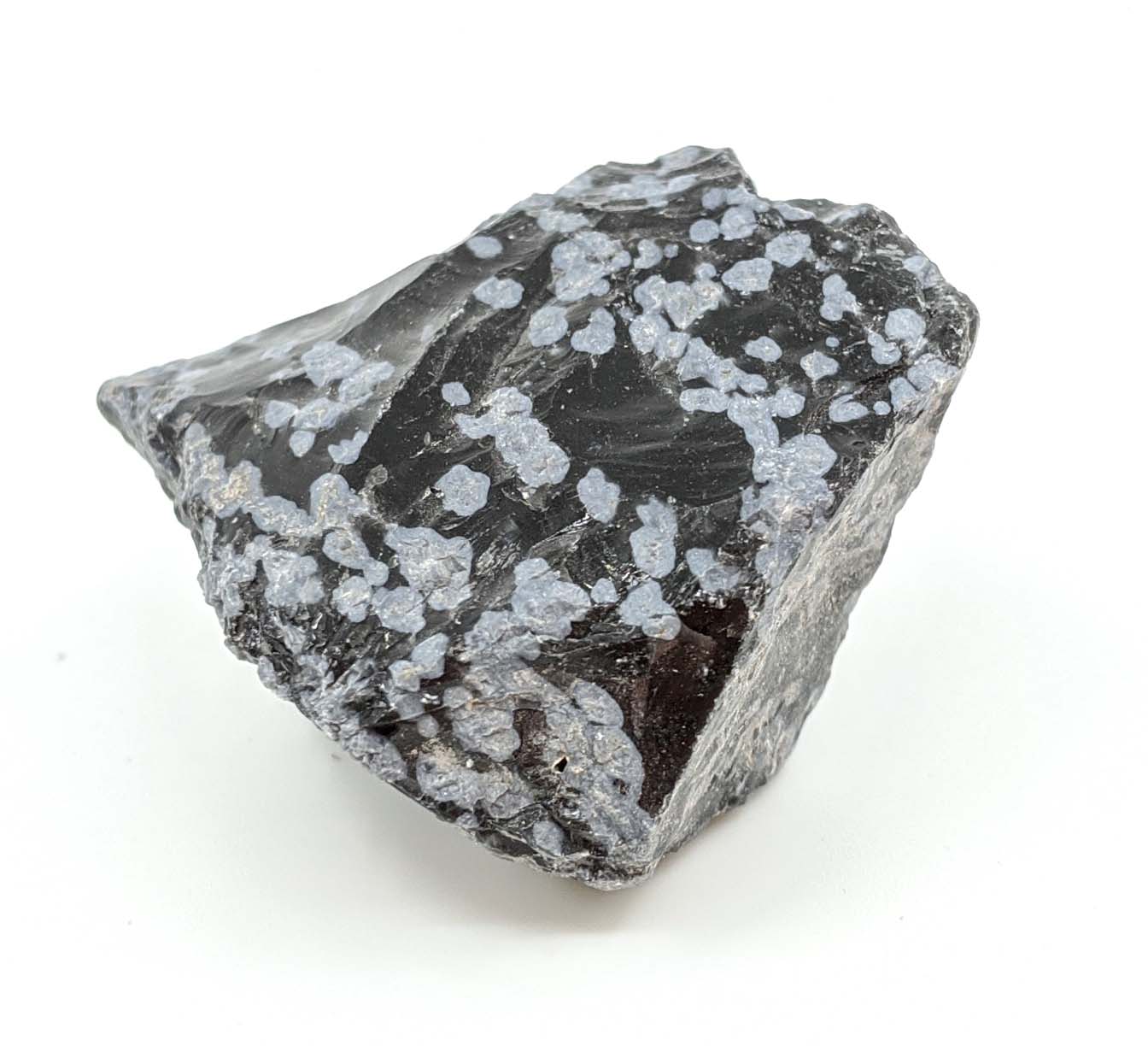 Snowflake Obsidian Raw 1 Pc Rock Garden Branford