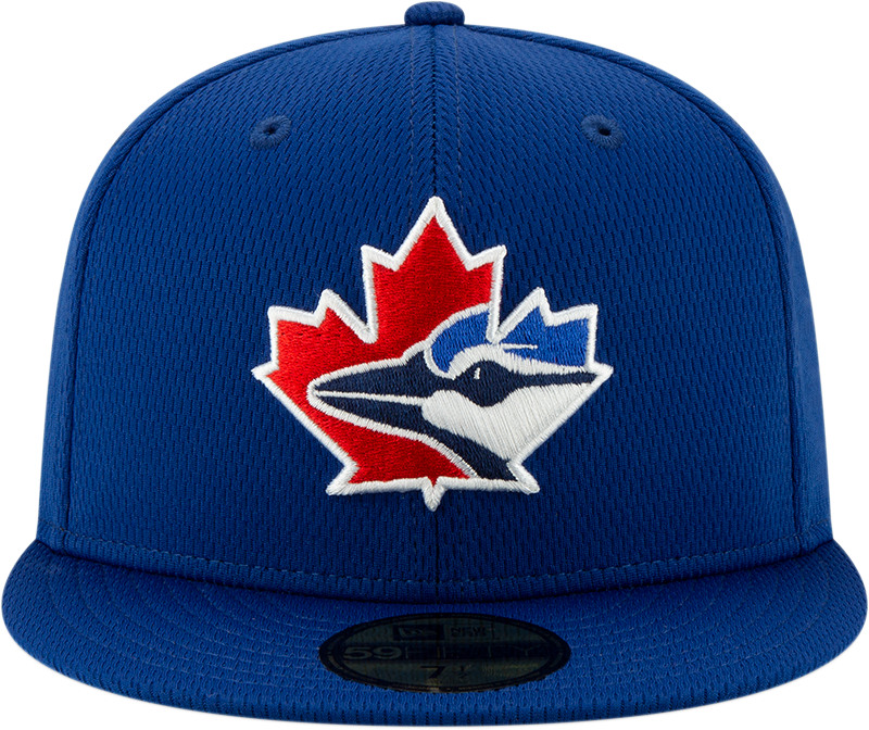 toronto blue jays spring training hat