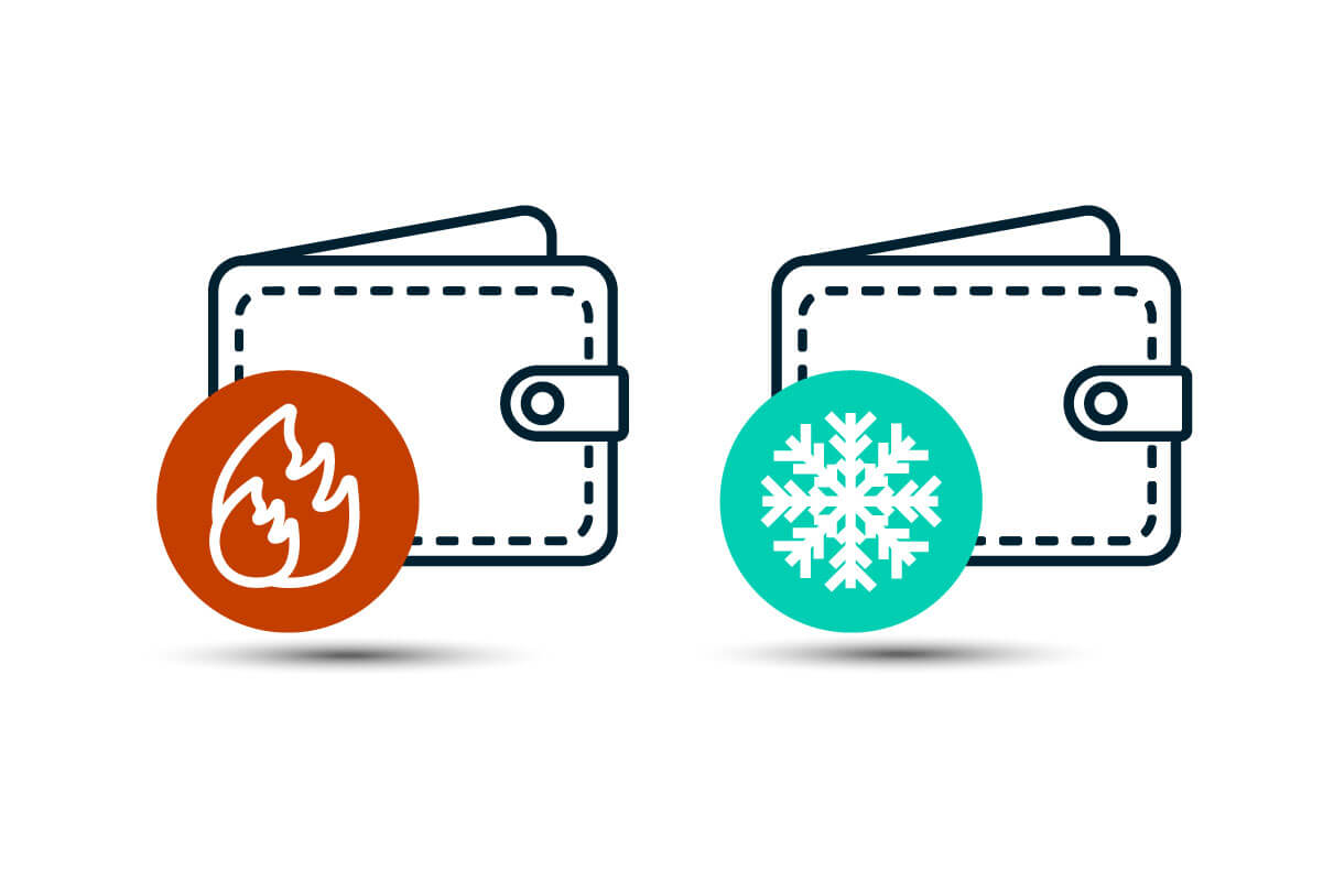 Hot wallet vs Cold wallet