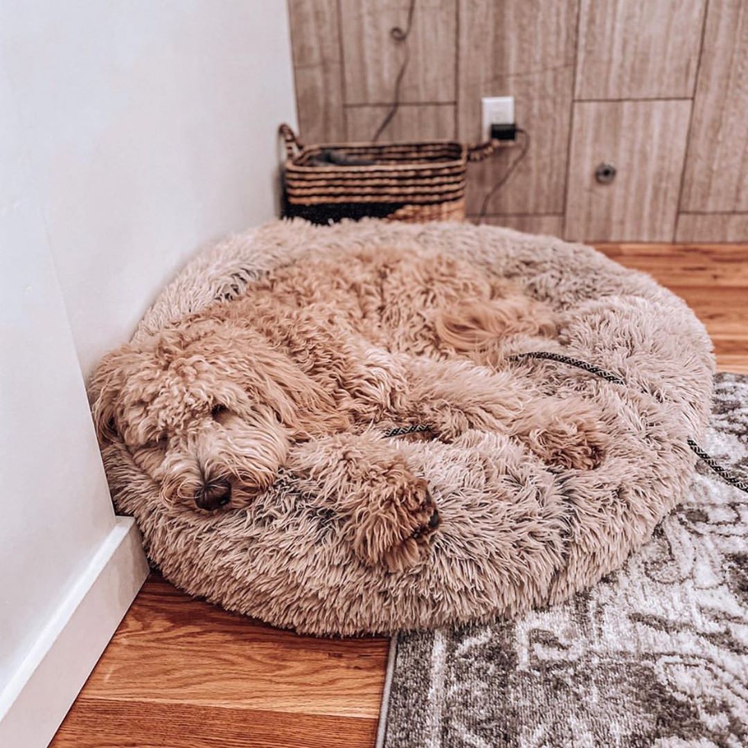 Calming Dog Bed Accessories - Pet bed for dog