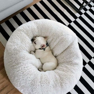 calming dog bed