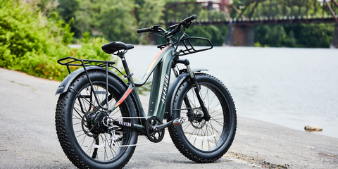 Electric Fat Bike - Low Maintenance