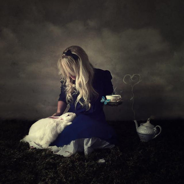 Alice et le lapin blanc