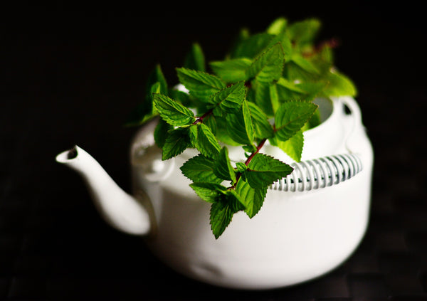 recyclage théière pot plantes aromatiques