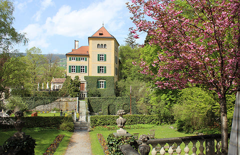 Schloss Schaueinstein in Switzerland