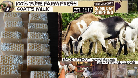 Google Milk  from Farm  homemade soap