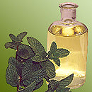 peppermint oil and mint plant