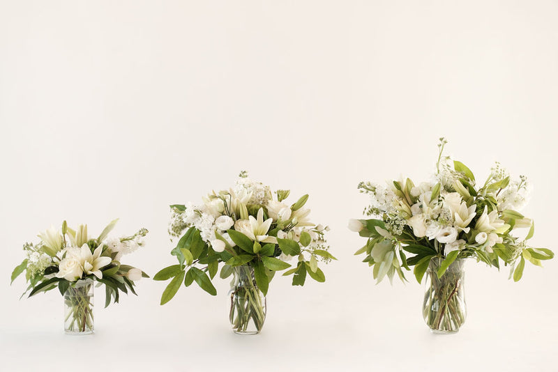 everwild florals