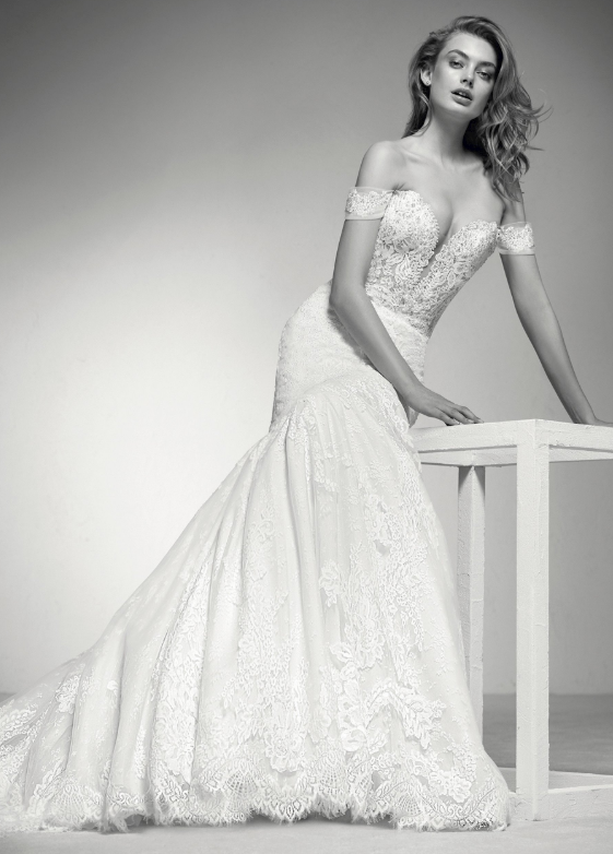 imelda lace mermaid gown