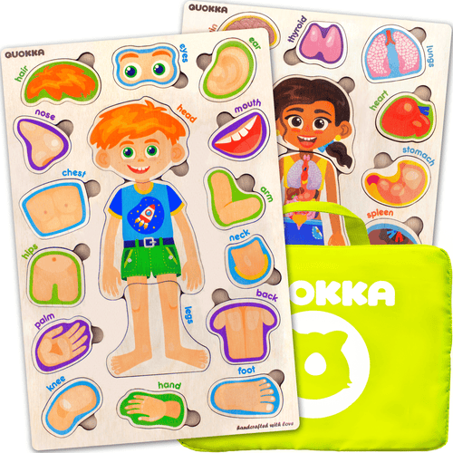 Alphabet Poster Preschool Learning Toy  Learn Letters, Numbers, Color –  Quokka