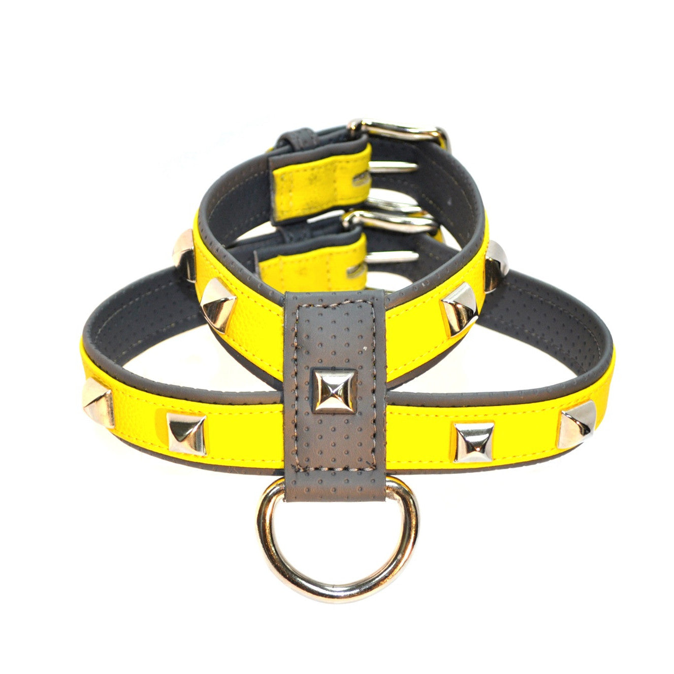 yellow dog harness