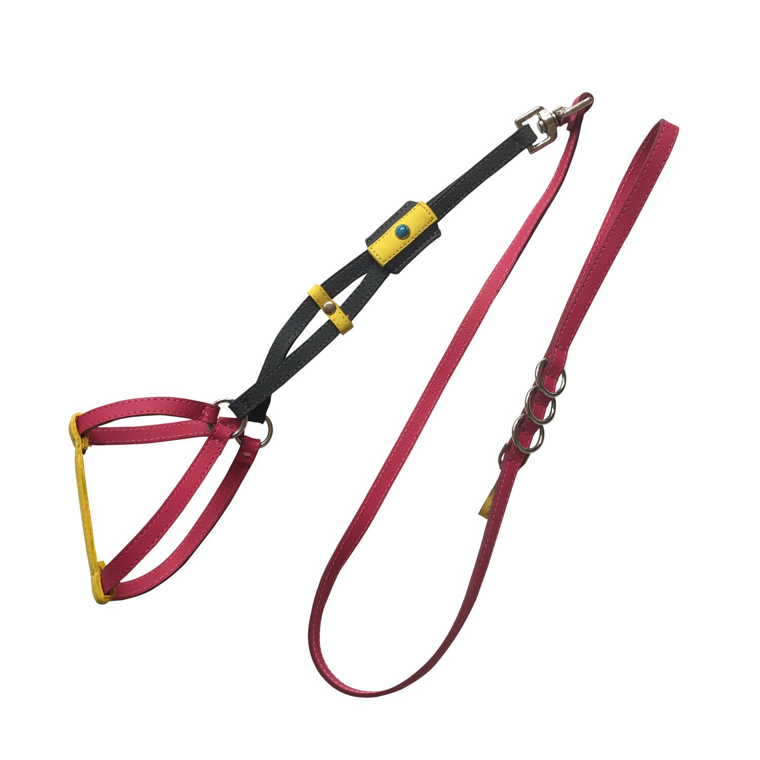 dog harness and leash combo