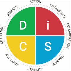 personality types d i s c test