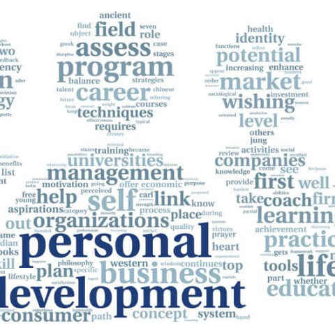 DiSC profiles are ideal for personal development