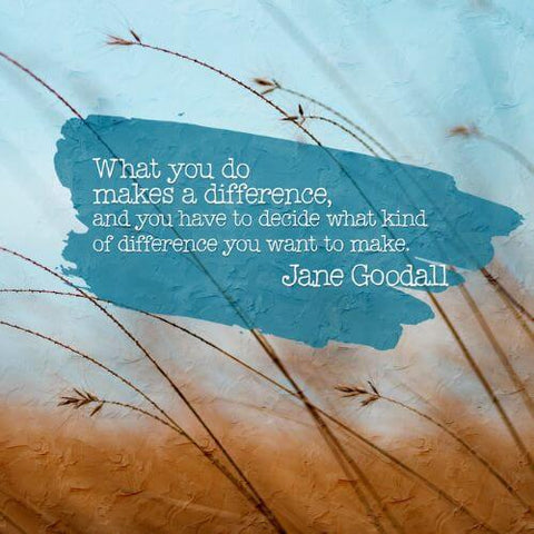 What you do in life can make a difference to others