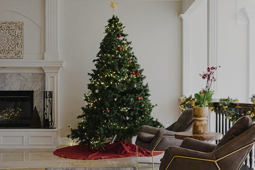 Opciones para no comprar un árbol de Navidad
