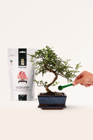 fertilizante bonsai