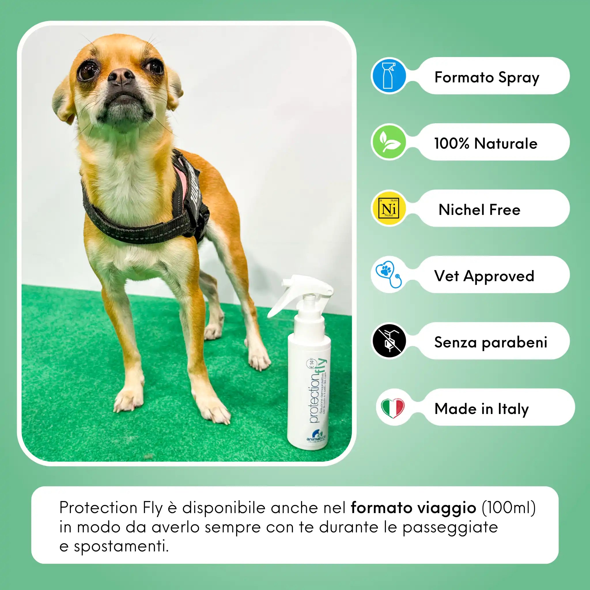 Protection Fly approvato dai veterinari sgradito alle pulci nel cane, made in Italy, effetto lenitivo verso il prurito