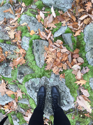 Storm King State Park 10/29/16