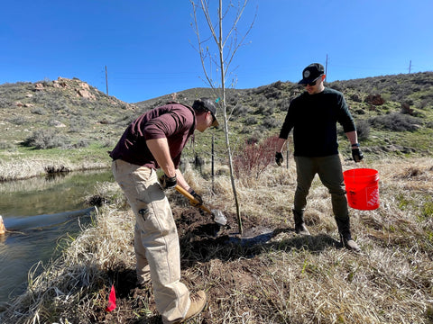 Tree Planting