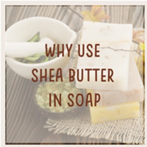 All You Need to Know About Shea Butter Soap Base - Simply Earth Blog