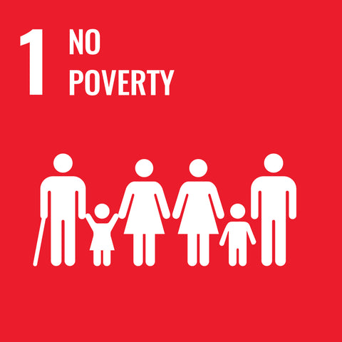 UN Sustainable Development Goals 1 - No Poverty