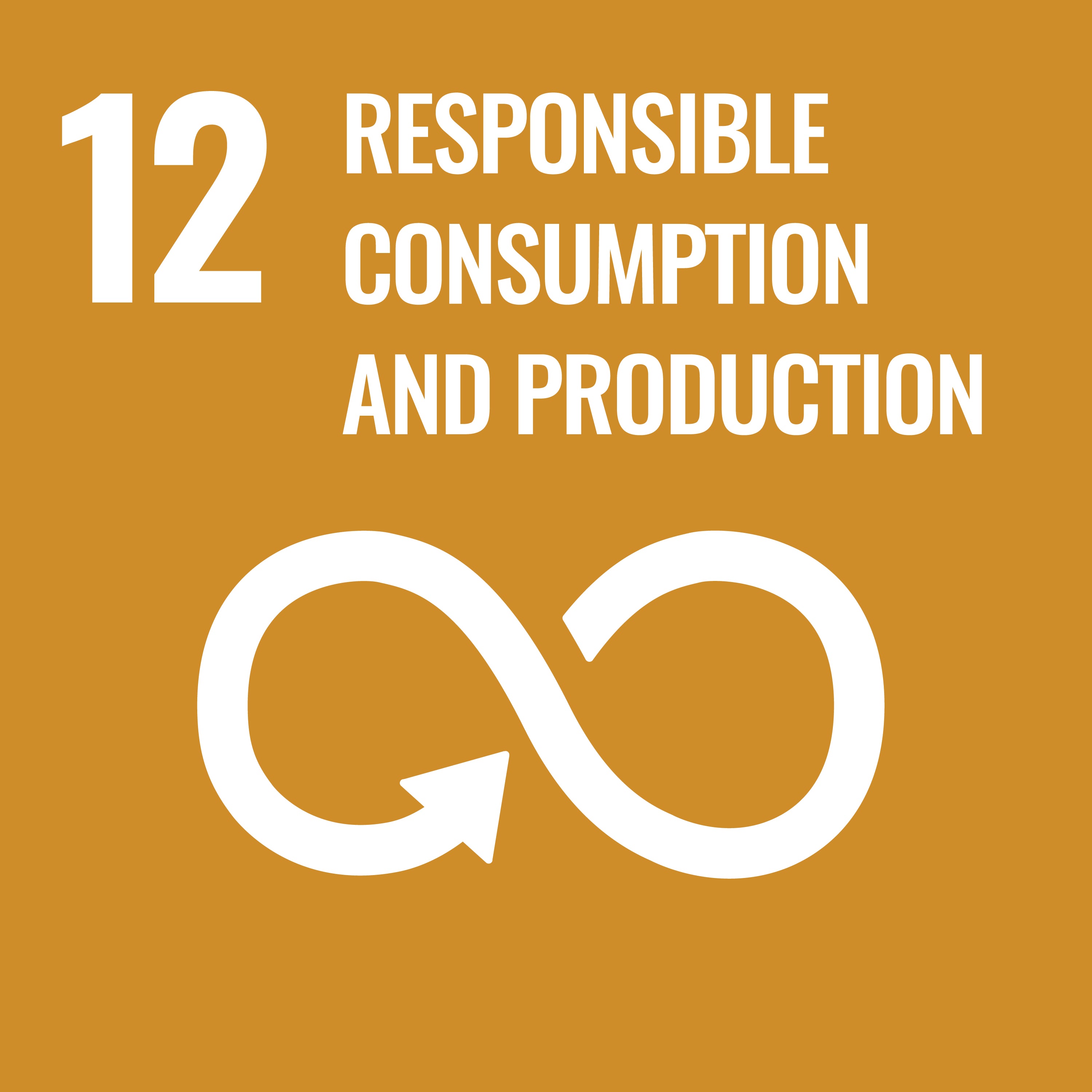 UN Sustainable Development Goals 12 - Responsible Consumption and Production