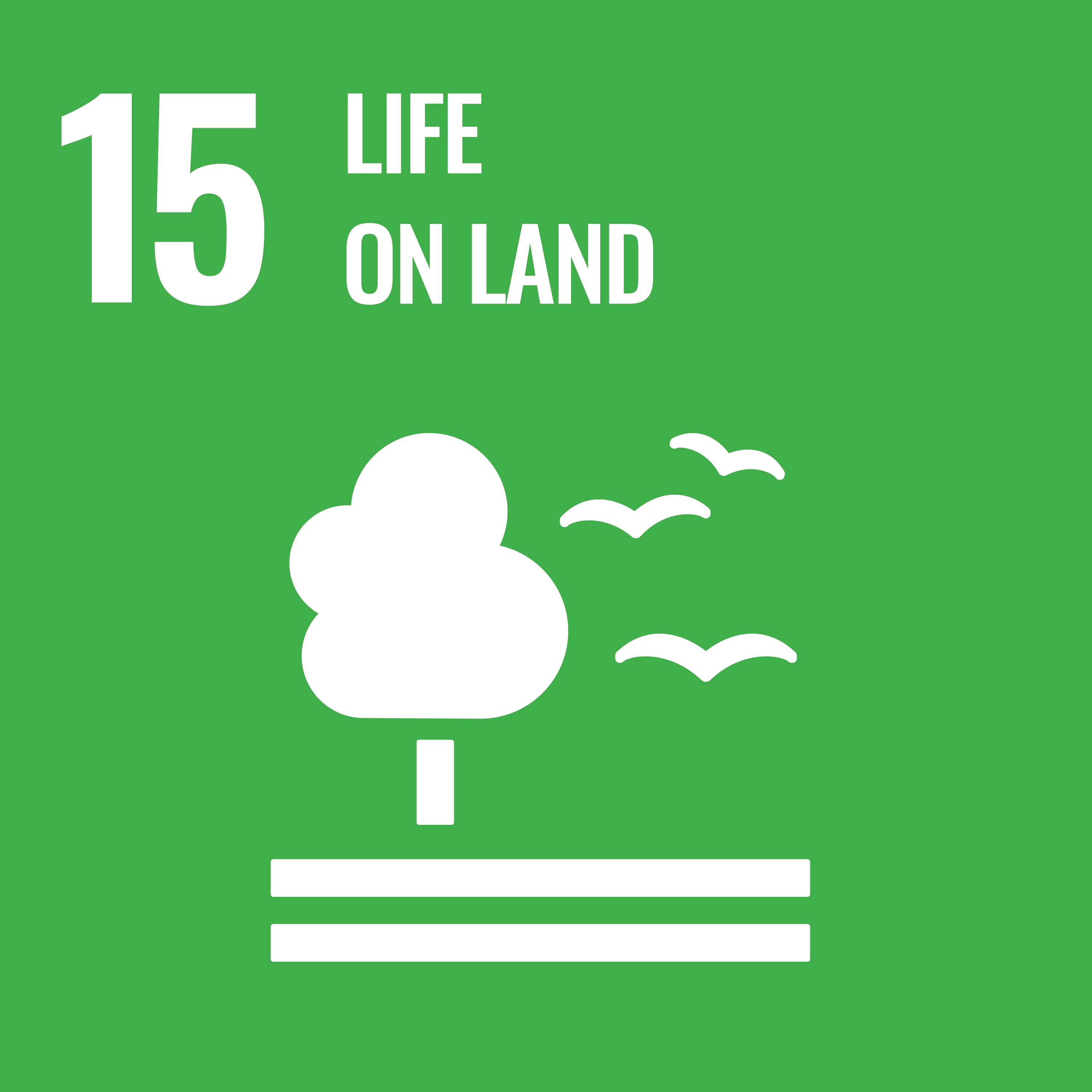 UN Sustainable Development Goals 15 - Life on Land