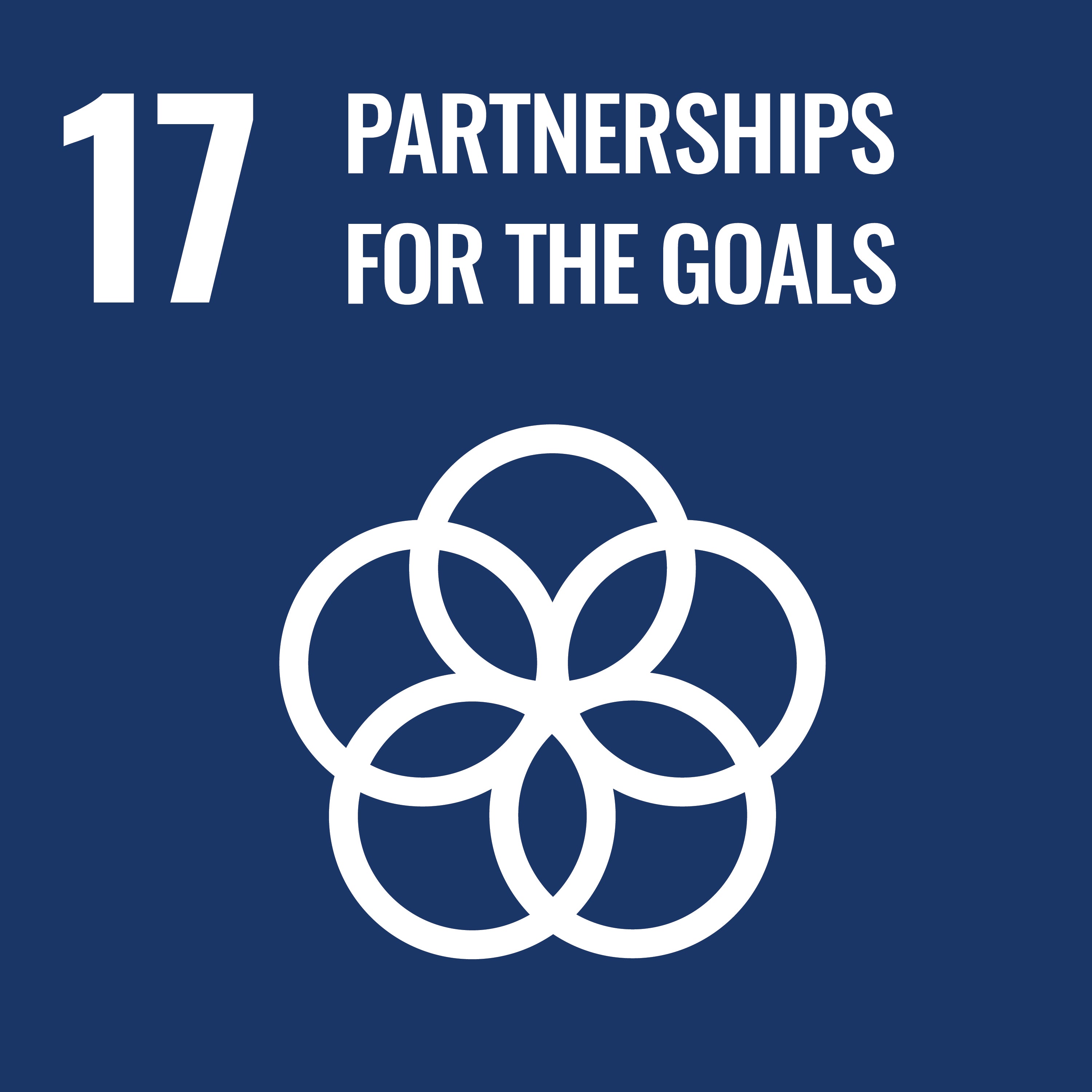 UN Sustainable Development Goals 17 - Partnerships for the Goals