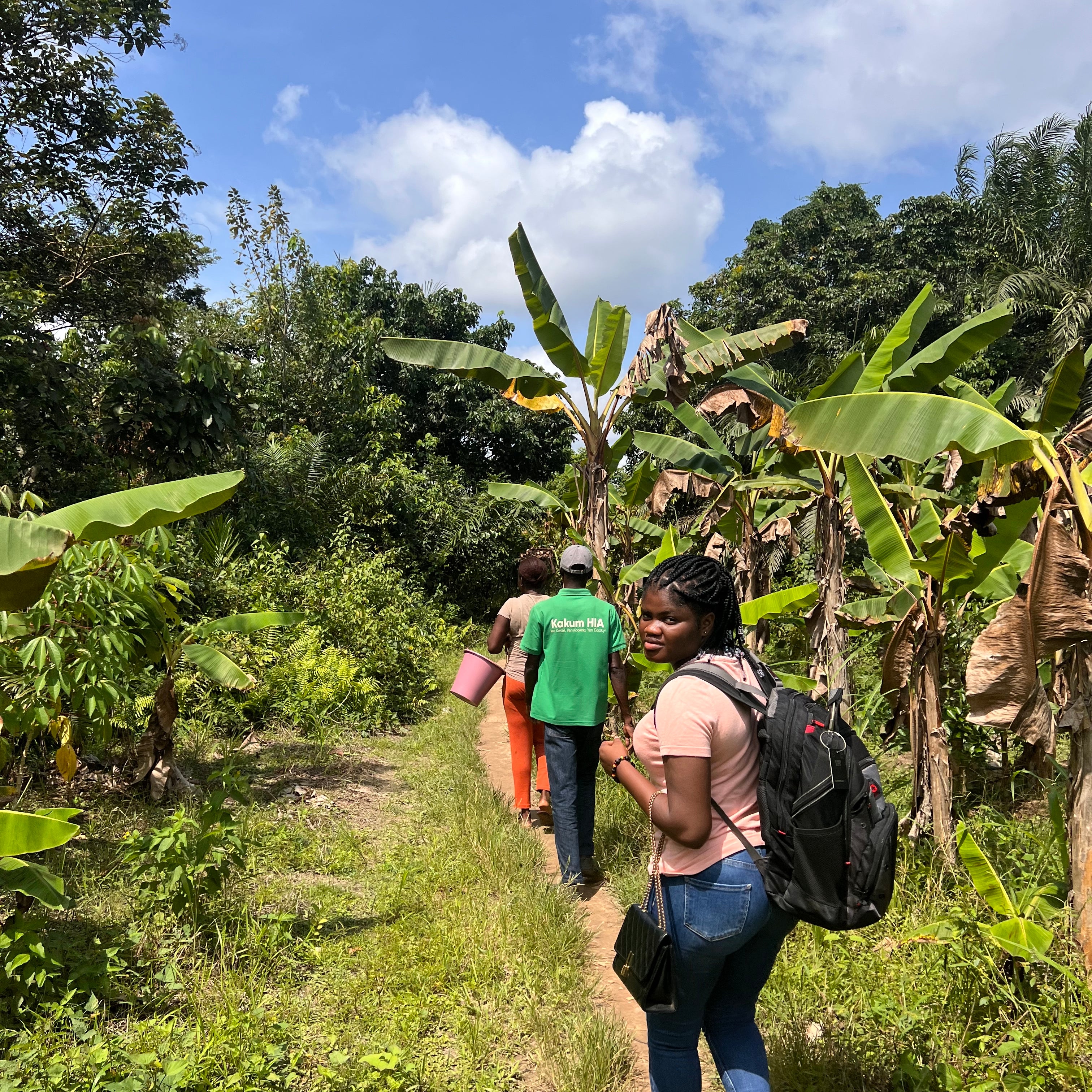 Into the Kombo Forest