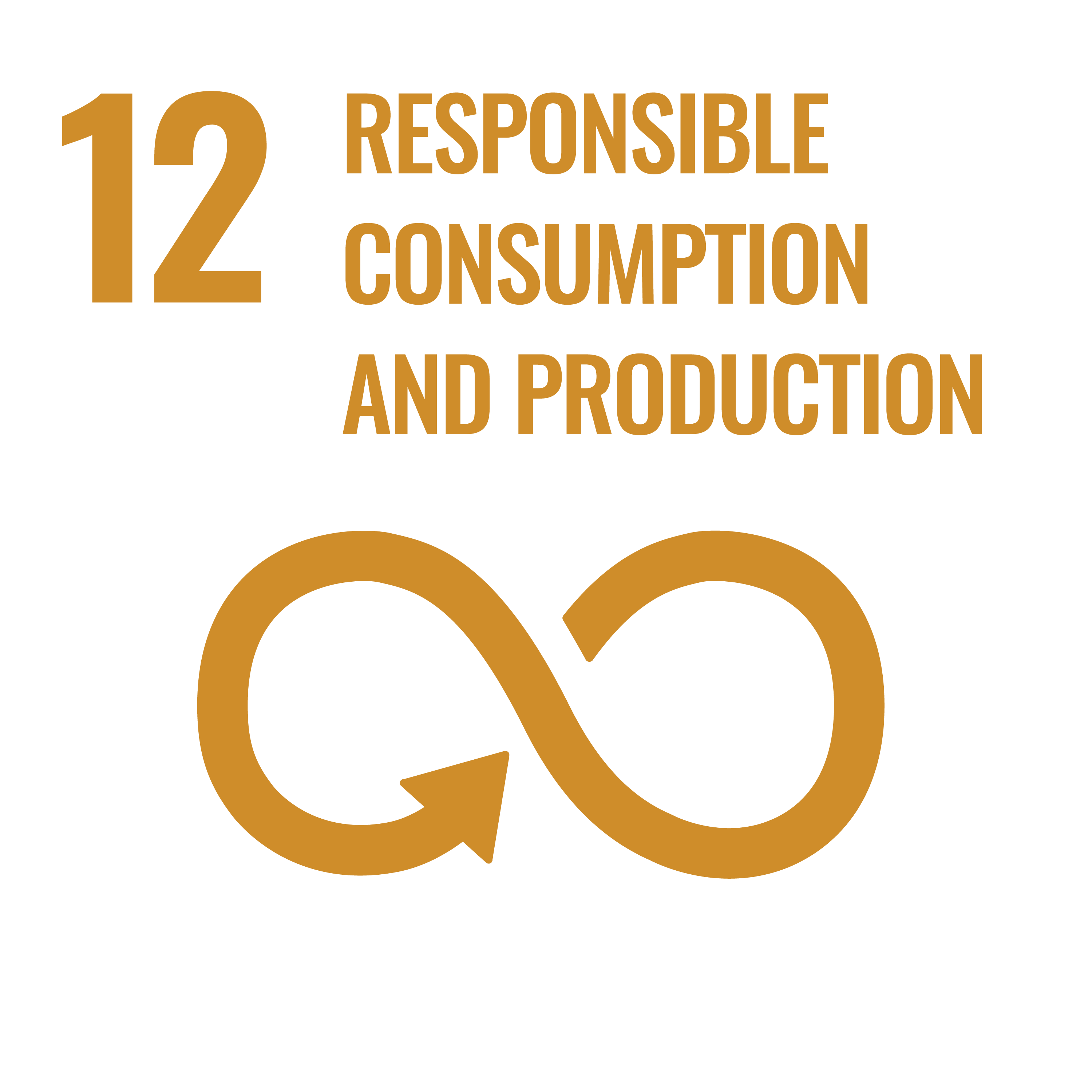 UN Sustainable Development Goals 12