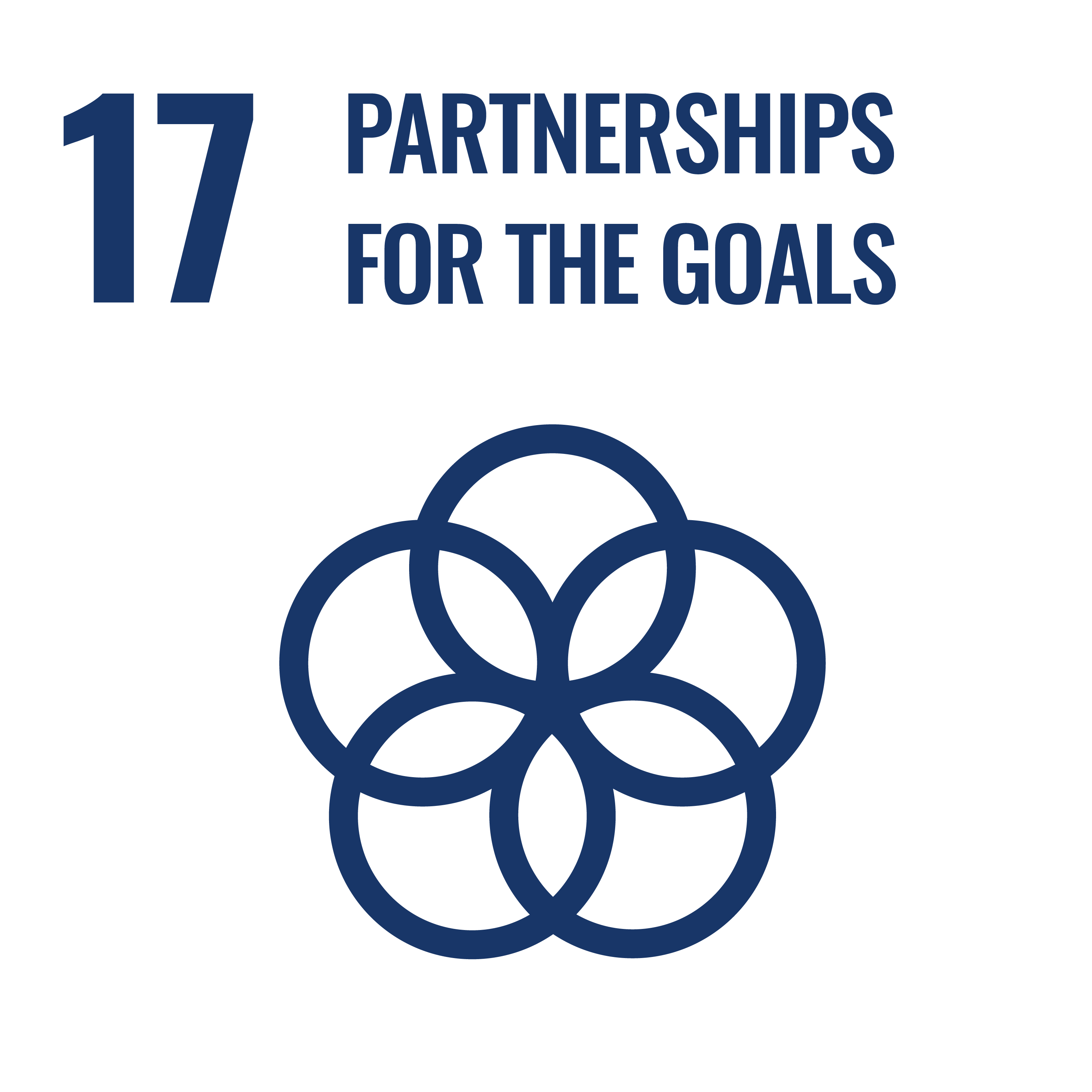 UN Sustainable Development Goals 17
