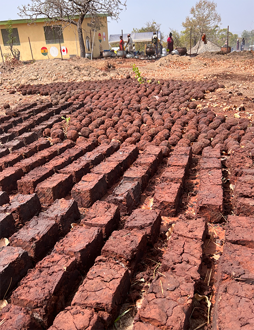 Shea nut waste blocks drying in the sun