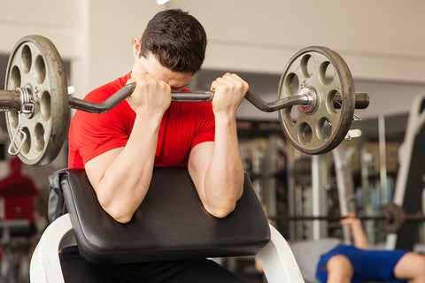 Barbell Preacher Curls