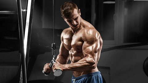 Cable Tricep Pushdowns