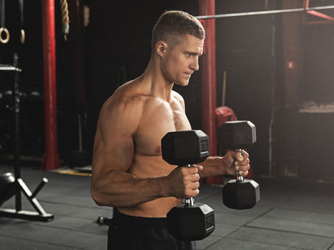 Dumbbell Hammer Curl