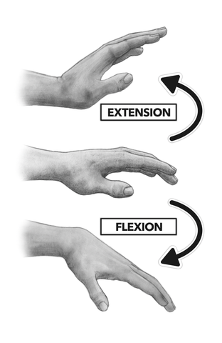 Wrist extension and flexion