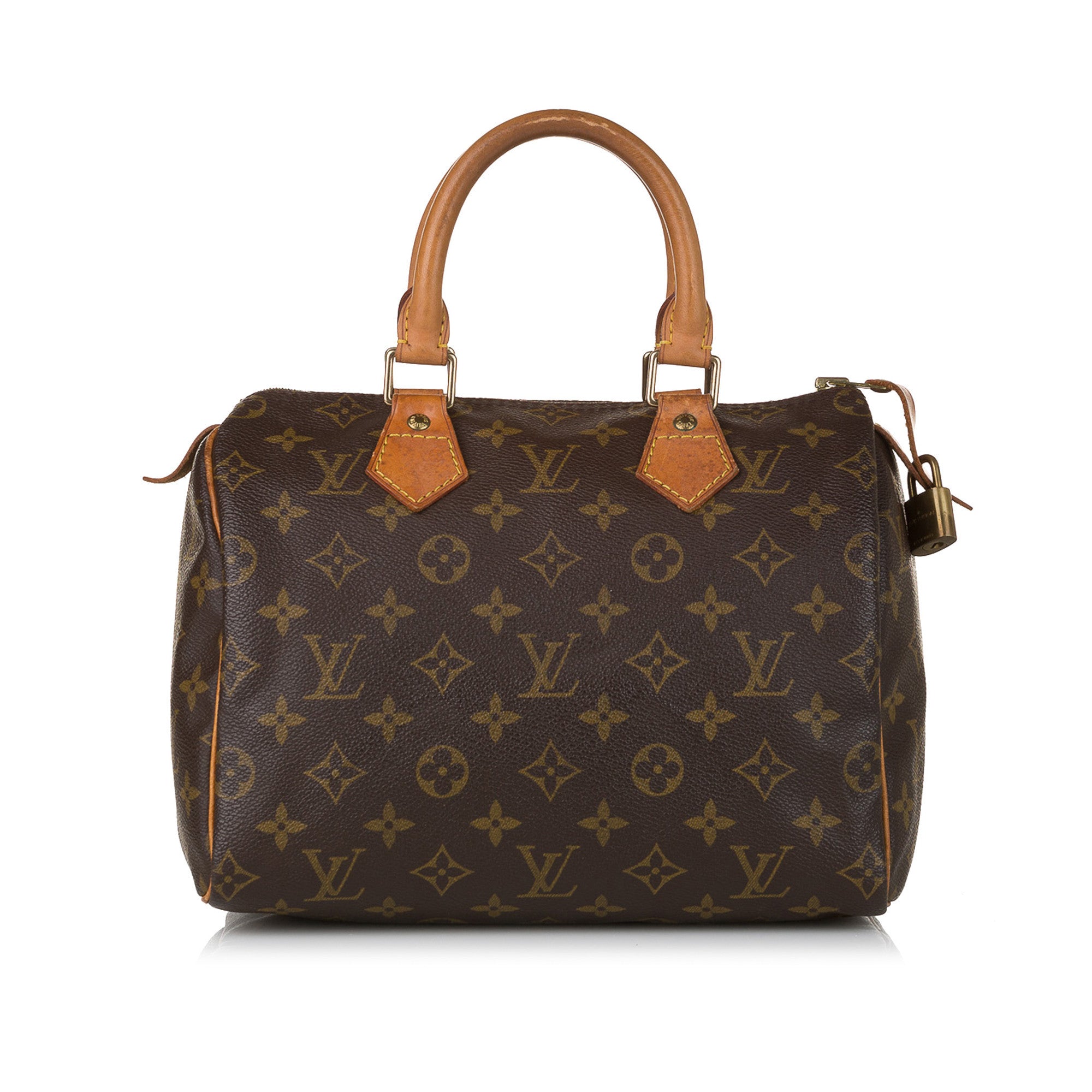 Luxury Designer Bag Investment Series: Louis Vuitton Speedy 25 Bag