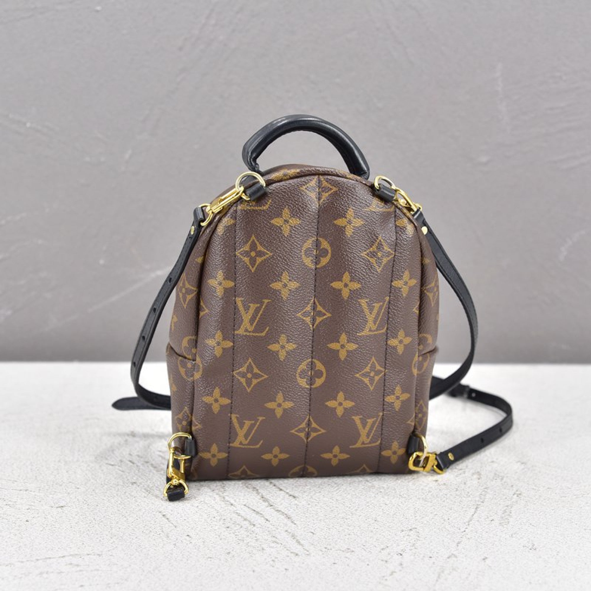 Palm Spring MM, Used & Preloved Louis Vuitton Backpack, LXR USA, Brown