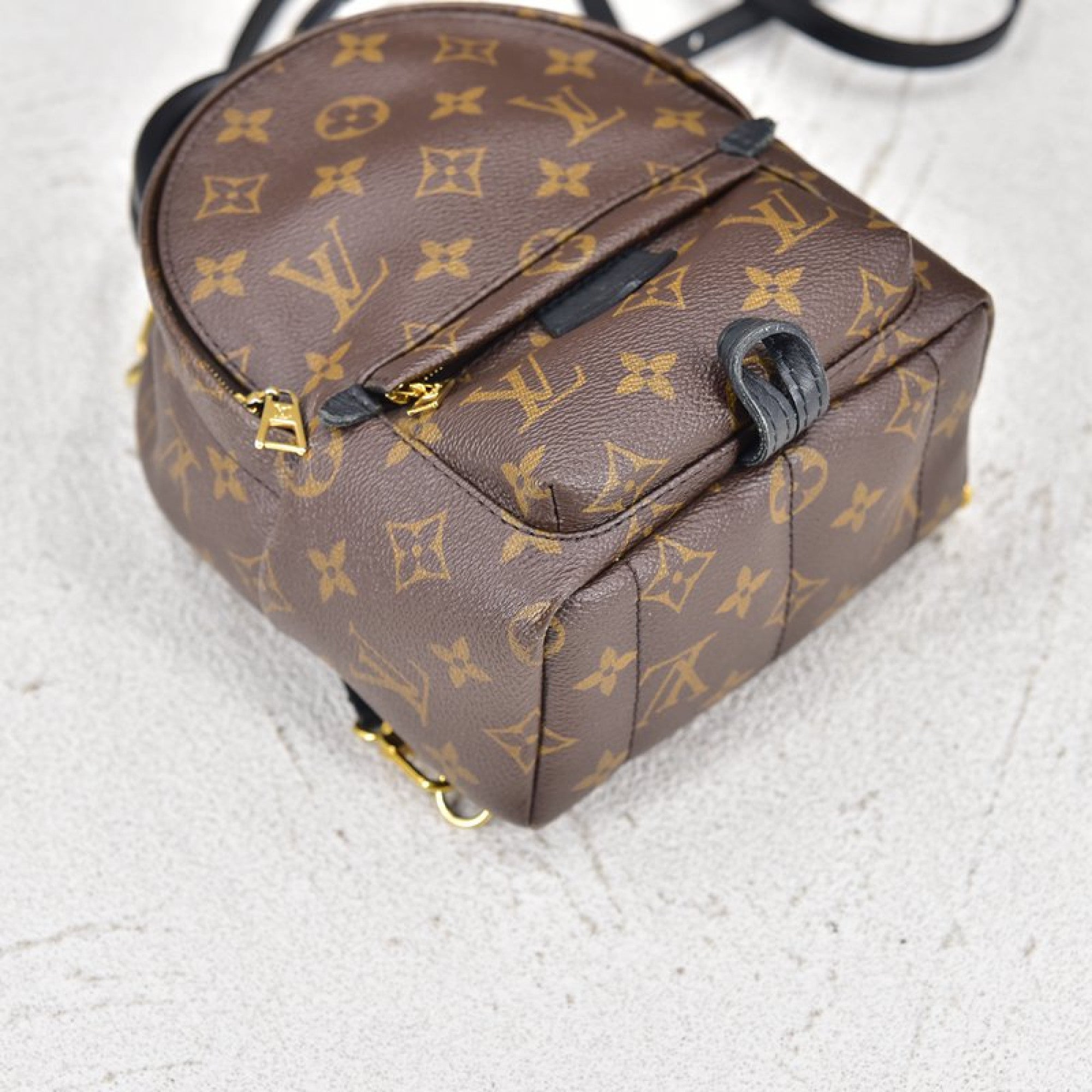 Louis Vuitton Mini Palm Springs Puffer Backpack (SHG-epb1Zk) – LuxeDH