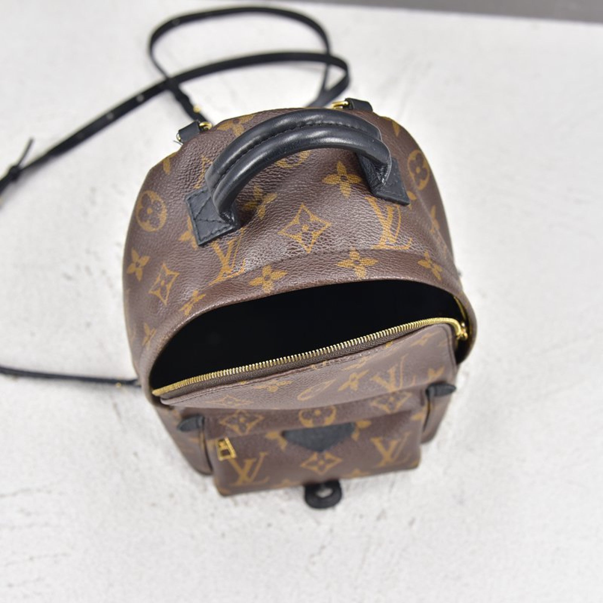 Louis Vuitton] Louis Vuitton Palm Springs PM N41059/MP1942 Luc